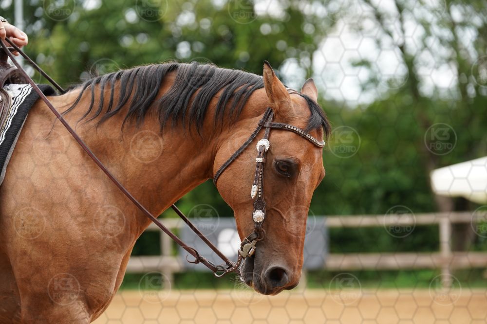 s_A9_02260.jpg